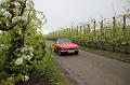 MG Bloesemrit op 24-4-2016 org. Jos&Marie-lou  (92)
